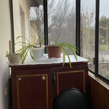 Сдается 2-х комнатная квартира, 43 м²