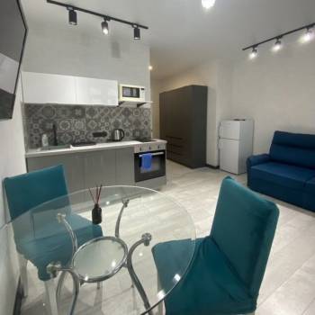 Сдается 1-комнатная квартира, 25,9 м²