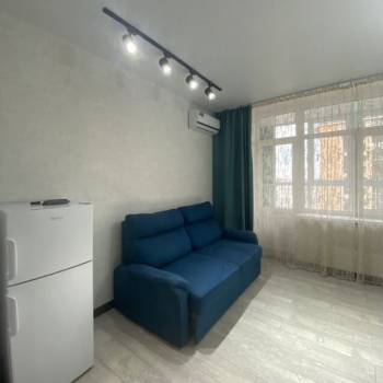 Сдается 1-комнатная квартира, 25,9 м²