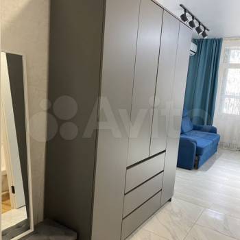 Сдается 1-комнатная квартира, 25,9 м²