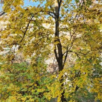 Продается 2-х комнатная квартира, 47,8 м²