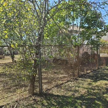 Продается Участок, 390 м²