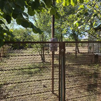 Продается Участок, 390 м²