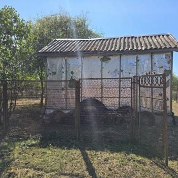 Продается Участок, 390 м²