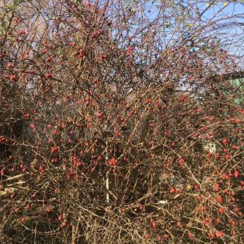 Продается Участок, 400 м²