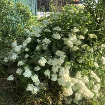 Продается Участок, 400 м²