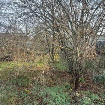 Продается Участок, 430 м²