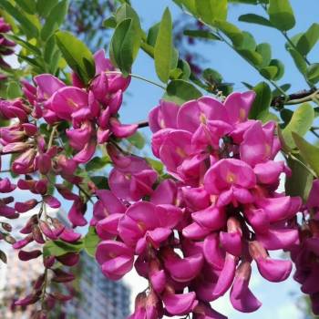 Продается 1-комнатная квартира, 30 м²