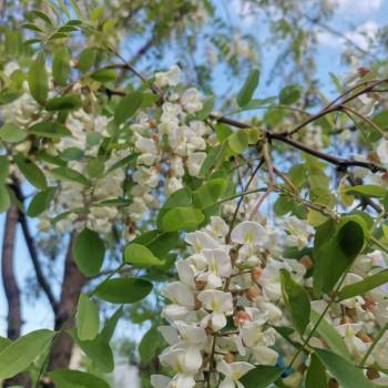 Продается 1-комнатная квартира, 30 м²