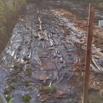 Продается Участок, 720 м²