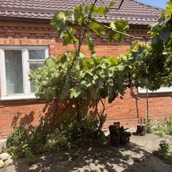 Сдается Дом, 60 м²