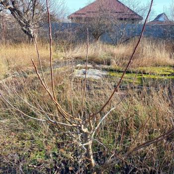 Продается Участок, 560 м²