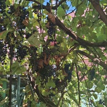 Продается Дом, 80 м²