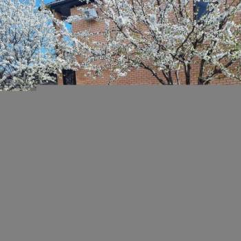 Продается Дом, 151 м²