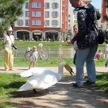 Продается Участок, 800 м²