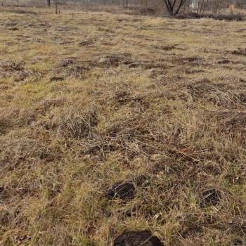 Продается Участок, 1000 м²