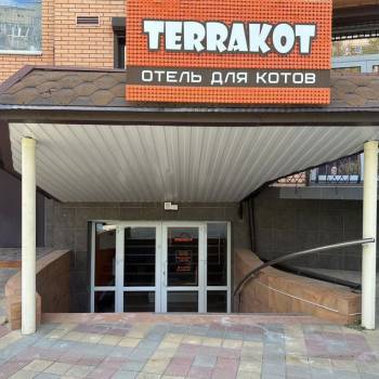 Продается Нежилое помещение, 267 м²