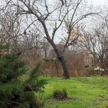 Продается Дом, 50 м²