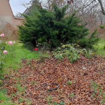 Продается Дом, 50 м²