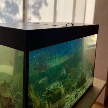 Сдается Многокомнатная квартира, 66 м²