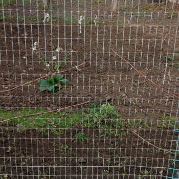 Продается Дом, 25 м²