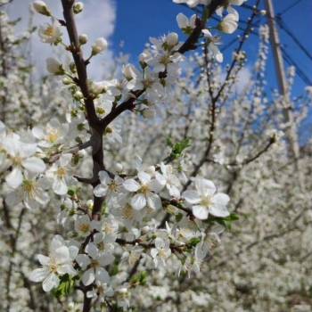 Сдается Нежилое помещение, 600 м²