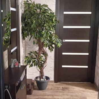 Сдается Комната, 11 м²