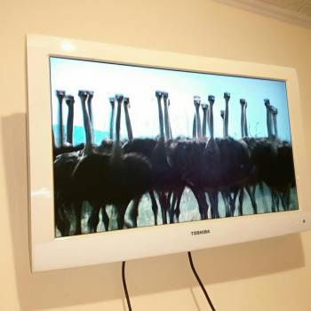 Сдается 2-х комнатная квартира, 46 м²