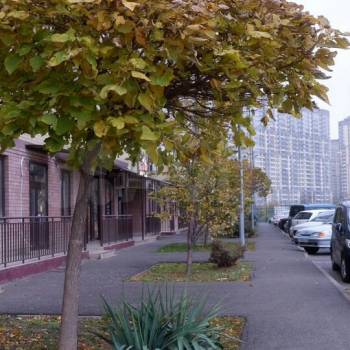 Сдается 1-комнатная квартира, 38,6 м²