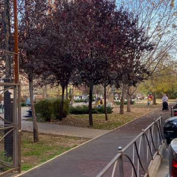 Продается 1-комнатная квартира, 21,8 м²