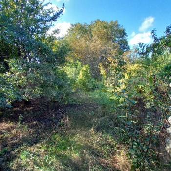 Продается Участок, 600 м²