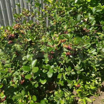 Продается Дом, 63 м²