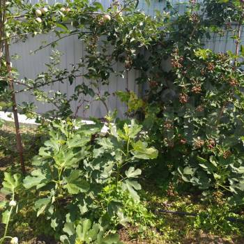 Продается Дом, 63 м²