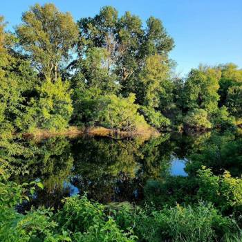 Продается Участок, 650 м²