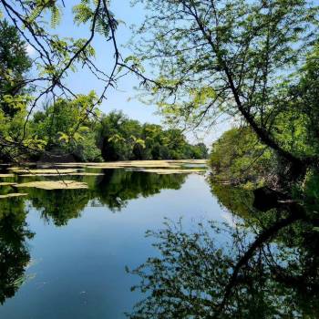 Продается Участок, 650 м²