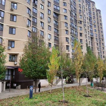 Сдается Нежилое помещение, 52 м²