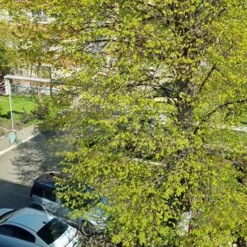 Продается 2-х комнатная квартира, 51,4 м²