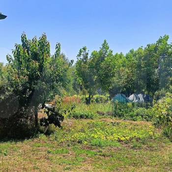 Продается Дом, 50 м²