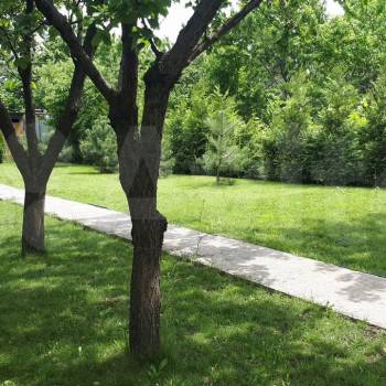 Сдается Дом, 55 м²