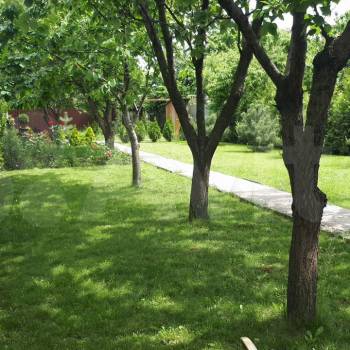 Сдается Дом, 55 м²