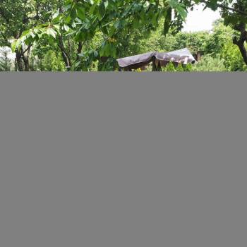 Сдается Дом, 55 м²