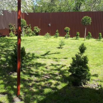 Сдается Дом, 55 м²