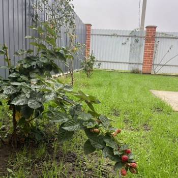 Продается Дом, 100 м²