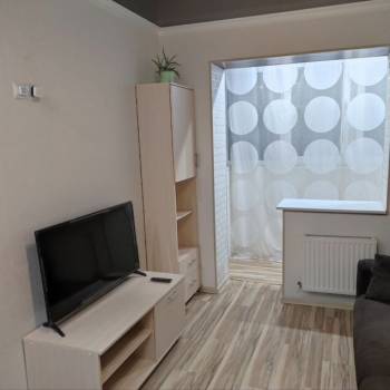 Сдается 1-комнатная квартира, 24,1 м²