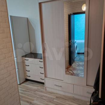 Сдается 1-комнатная квартира, 24,1 м²
