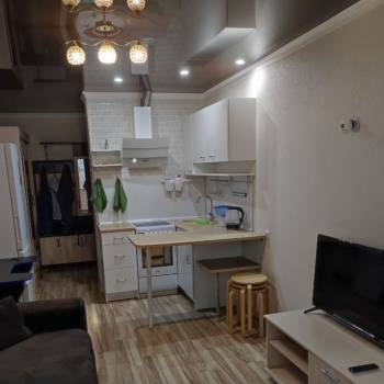 Сдается 1-комнатная квартира, 24,1 м²