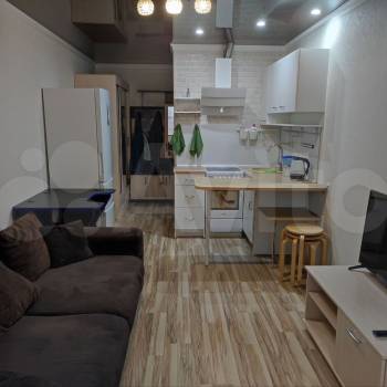 Сдается 1-комнатная квартира, 24,1 м²