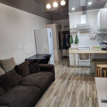 Сдается 1-комнатная квартира, 24,1 м²