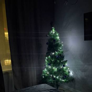 Сдается 1-комнатная квартира, 45 м²