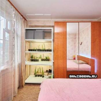 Сдается Многокомнатная квартира, 48 м²